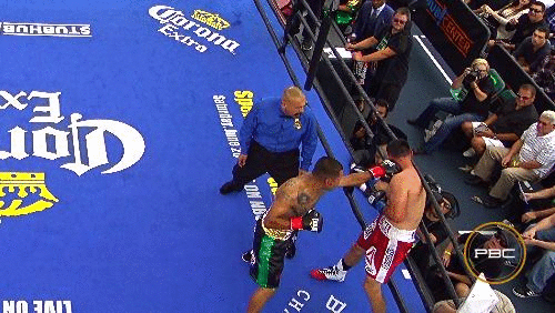 Guerrero goes down